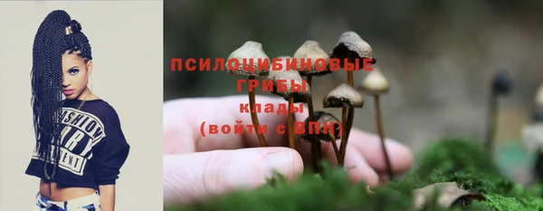 мяу мяу мука Алексеевка