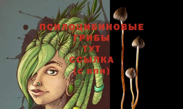 мяу мяу мука Алексеевка