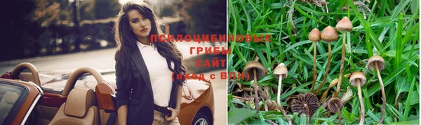 дурь Алексин