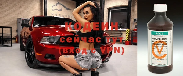 дурь Алексин