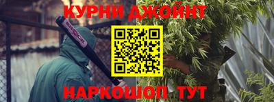 индика Можга