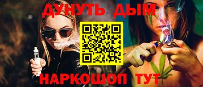 индика Можга