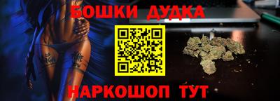 индика Можга