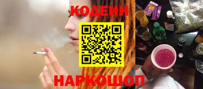 индика Можга