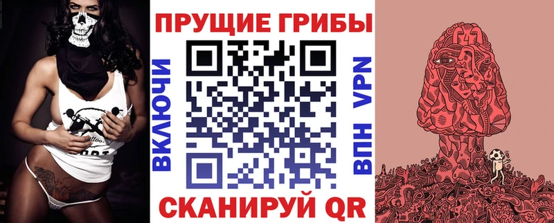 KRAKEN рабочий сайт где продают наркотики Балашов Псилоцибиновые грибы Psilocybe