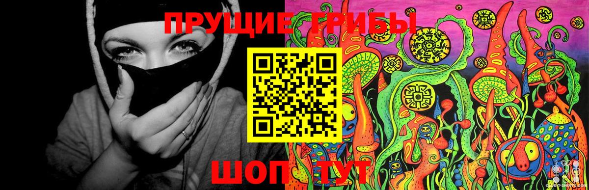 Псилоцибиновые грибы Psilocybe Балашов